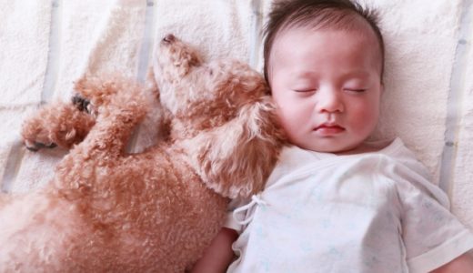 赤ちゃんの一人寝はいつから？親子熟睡で育児が楽になる方法